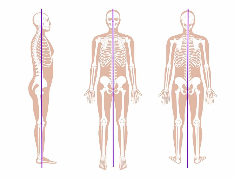 Full body alignment views